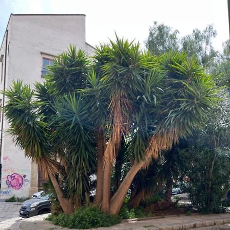 פלרמו Sicily Guest House 2 מראה חיצוני תמונה
