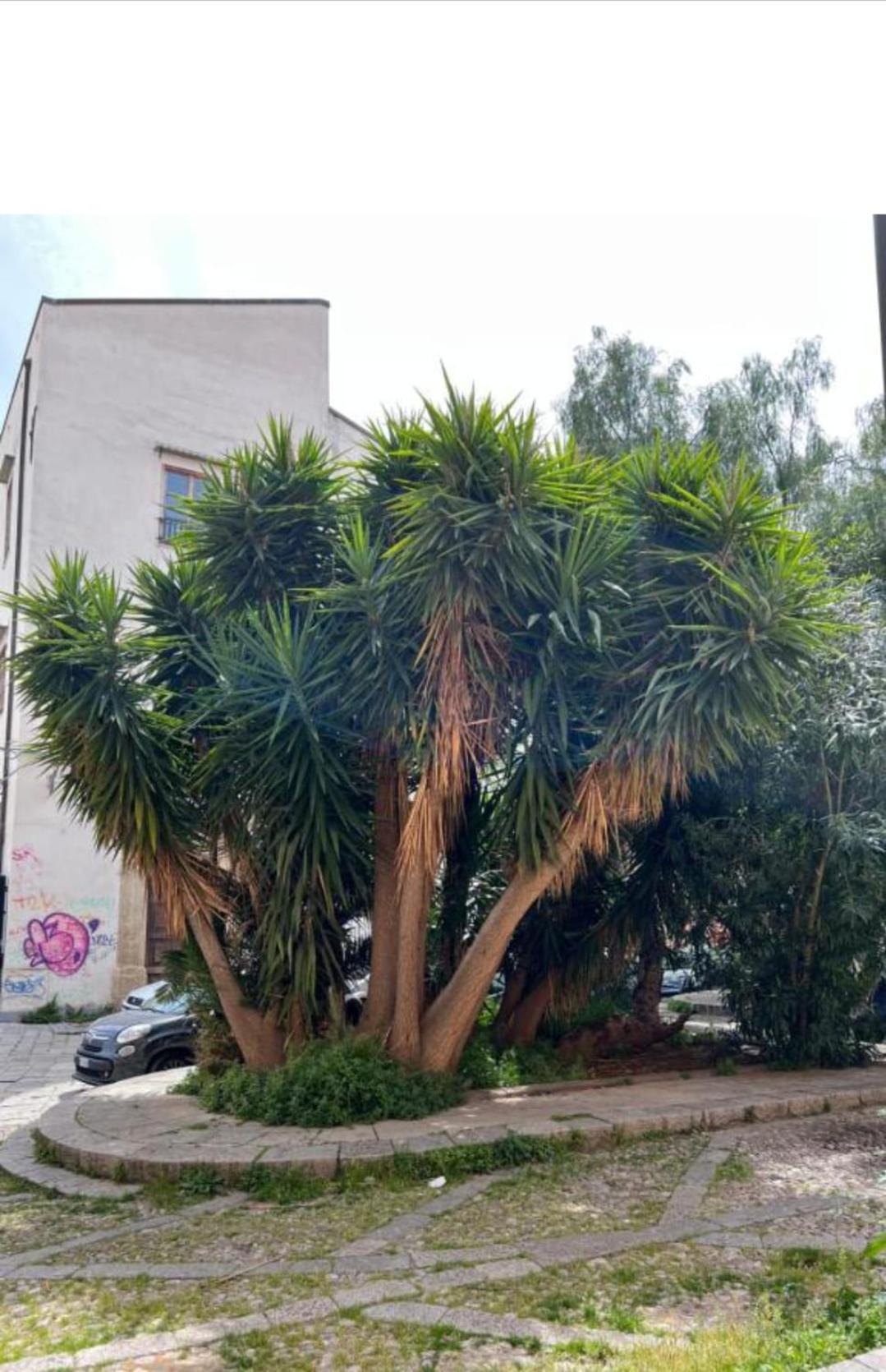 פלרמו Sicily Guest House 2 מראה חיצוני תמונה
